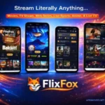 FlixFox Download Streaming App for Movies and TV Shows For Android